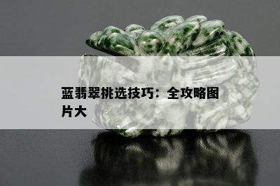 蓝翡翠挑选技巧：全攻略图片大