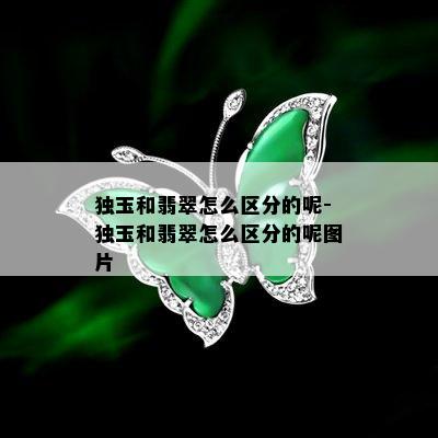 独玉和翡翠怎么区分的呢-独玉和翡翠怎么区分的呢图片