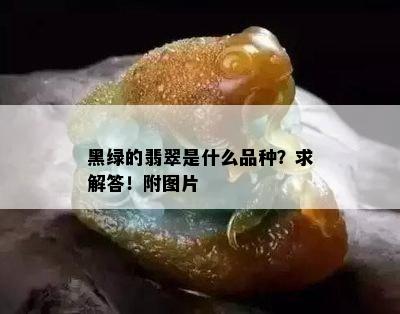 黑绿的翡翠是什么品种？求解答！附图片