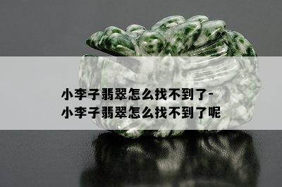 小李子翡翠怎么找不到了-小李子翡翠怎么找不到了呢