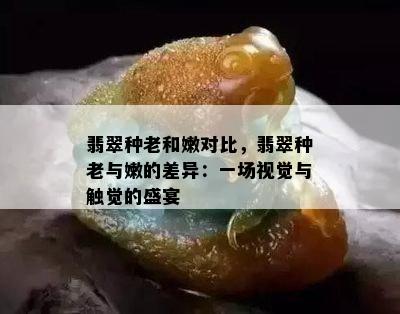 翡翠种老和嫩对比，翡翠种老与嫩的差异：一场视觉与触觉的盛宴