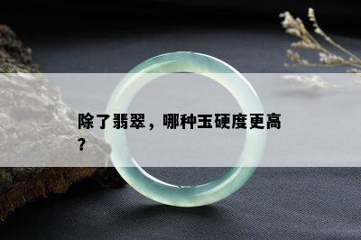 除了翡翠，哪种玉硬度更高？