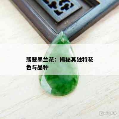 翡翠墨兰花：揭秘其独特花色与品种