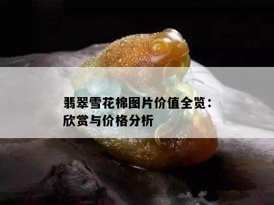 翡翠雪花棉图片价值全览：欣赏与价格分析