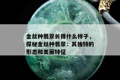 金丝种翡翠长得什么样子，探秘金丝种翡翠：其独特的形态和美丽特征