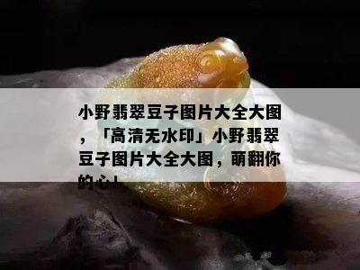 小野翡翠豆子图片大全大图，「高清无水印」小野翡翠豆子图片大全大图，萌翻你的心！