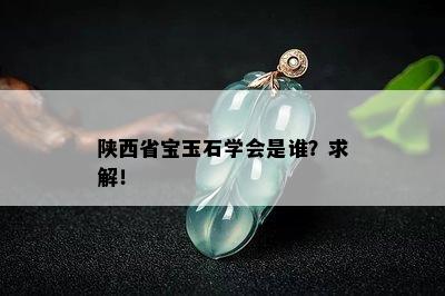 陕西省宝玉石学会是谁？求解！