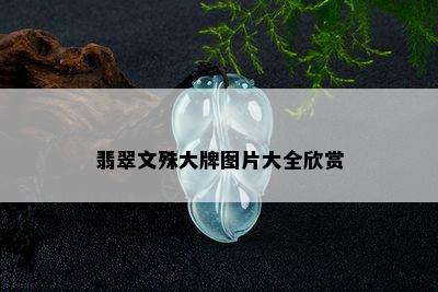 翡翠文殊大牌图片大全欣赏