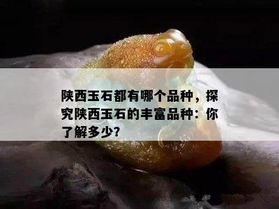 陕西玉石都有哪个品种，探究陕西玉石的丰富品种：你了解多少？