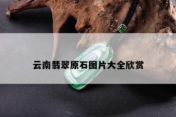 云南翡翠原石图片大全欣赏