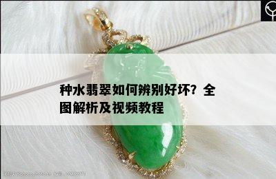 种水翡翠如何辨别好坏？全图解析及视频教程