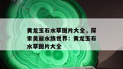 黄龙玉石水草图片大全，探索美丽水族世界：黄龙玉石水草图片大全