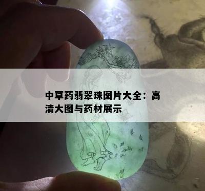 中草药翡翠珠图片大全：高清大图与药材展示