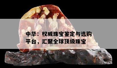 中华：权威珠宝鉴定与选购平台，汇聚全球顶级珠宝