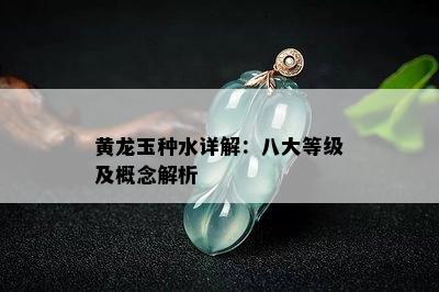 黄龙玉种水详解：八大等级及概念解析