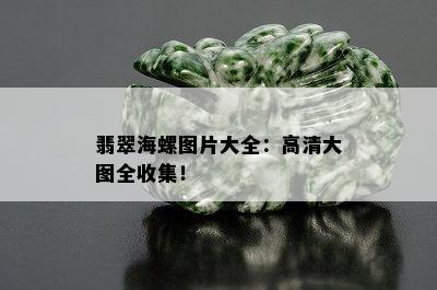 翡翠海螺图片大全：高清大图全收集！