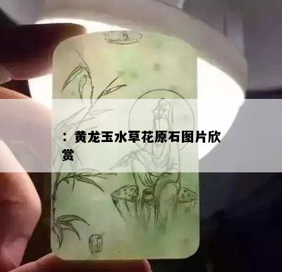 ：黄龙玉水草花原石图片欣赏