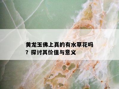 黄龙玉佛上真的有水草花吗？探讨其价值与意义