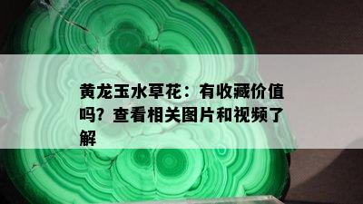 黄龙玉水草花：有收藏价值吗？查看相关图片和视频了解