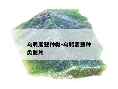 乌鸦翡翠种类-乌鸦翡翠种类图片