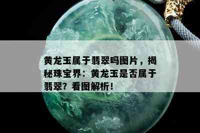 黄龙玉属于翡翠吗图片，揭秘珠宝界：黄龙玉是否属于翡翠？看图解析！