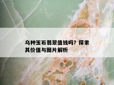 乌种玉石翡翠值钱吗？探索其价值与图片解析