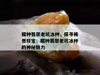 糯种翡翠老坑冰种，探寻稀世珍宝：糯种翡翠老坑冰种的神秘魅力