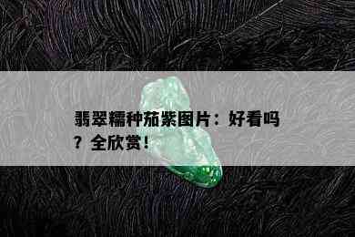 翡翠糯种茄紫图片：好看吗？全欣赏！