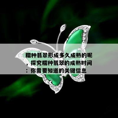 糯种翡翠形成多久成熟的呢，探究糯种翡翠的成熟时间：你需要知道的关键信息