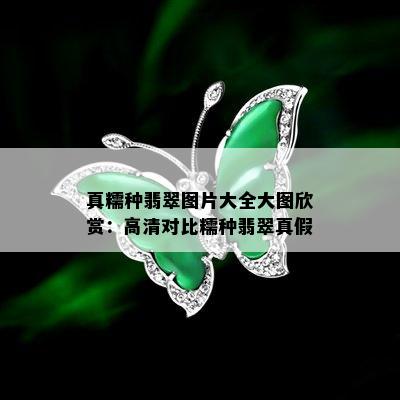 真糯种翡翠图片大全大图欣赏：高清对比糯种翡翠真假