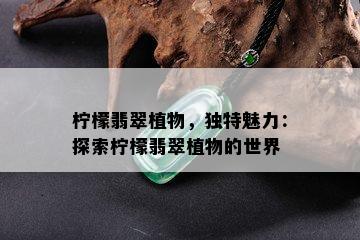 柠檬翡翠植物，独特魅力：探索柠檬翡翠植物的世界