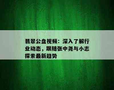 翡翠公盘视频：深入了解行业动态，跟随张中尧与小志探索最新趋势