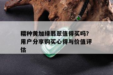 糯种黄加绿翡翠值得买吗？用户分享购买心得与价值评估