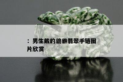 ：男生戴的貔貅翡翠手链图片欣赏