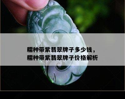 糯种带紫翡翠牌子多少钱，糯种带紫翡翠牌子价格解析