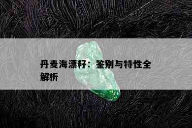 丹麦海漂籽：鉴别与特性全解析