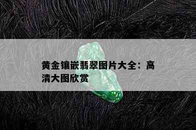 黄金镶嵌翡翠图片大全：高清大图欣赏