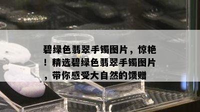 碧绿色翡翠手镯图片，惊艳！精选碧绿色翡翠手镯图片，带你感受大自然的馈赠