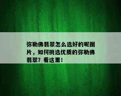 弥勒佛翡翠怎么选好的呢图片，如何挑选优质的弥勒佛翡翠？看这里！