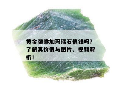 黄金貔貅加玛瑙石值钱吗？了解其价值与图片、视频解析！