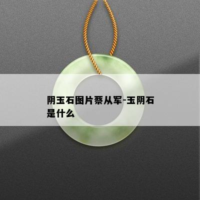 阴玉石图片蔡从军-玉阴石是什么