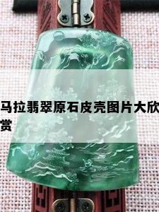 马拉翡翠原石皮壳图片大欣赏