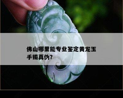 佛山哪里能专业鉴定黄龙玉手镯真伪？