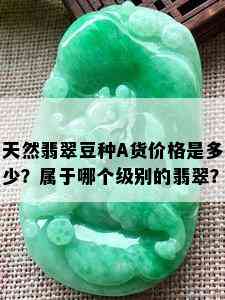 天然翡翠豆种A货价格是多少？属于哪个级别的翡翠？