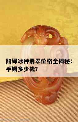 阳绿冰种翡翠价格全揭秘：手镯多少钱？