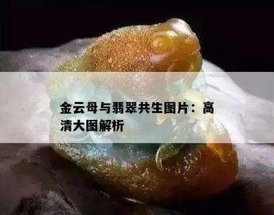 金云母与翡翠共生图片：高清大图解析