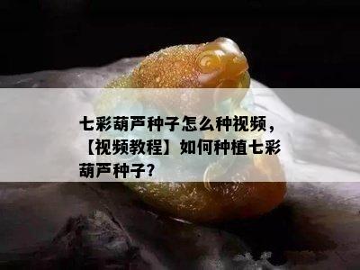 七彩葫芦种子怎么种视频，【视频教程】如何种植七彩葫芦种子？