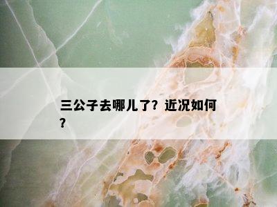 三公子去哪儿了？近况如何？