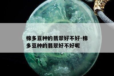 棉多豆种的翡翠好不好-棉多豆种的翡翠好不好呢