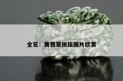 全览：黄翡翠扳指图片欣赏